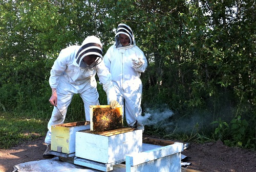 Beekeepers Club — Students — Penn State College of Agricultural