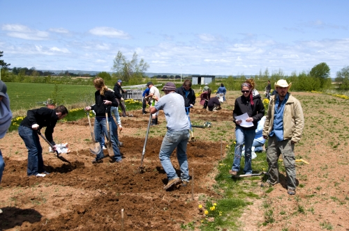 Community gardeners